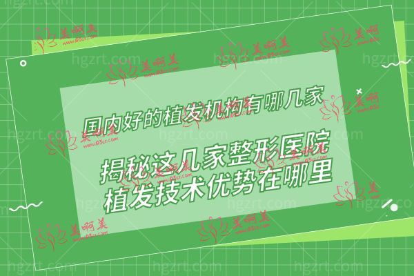 国内好的植发机构有哪几家.jpg
