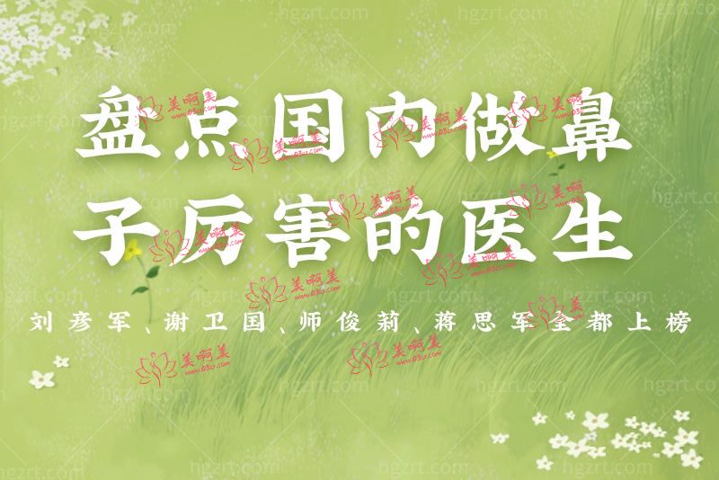 国内做鼻子厉害的医生