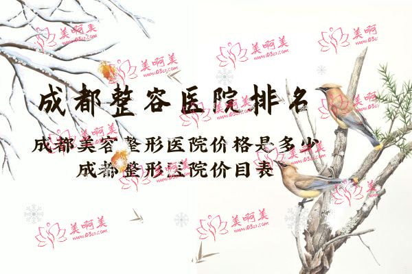 2022成都十大整容医院排名.jpg
