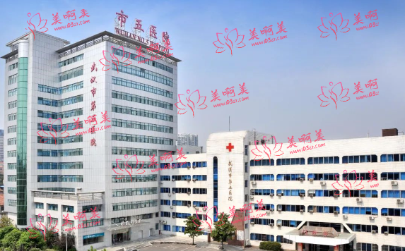 武汉第五医院皮肤科介绍：黄金微针价格公布、恢复情况了解！