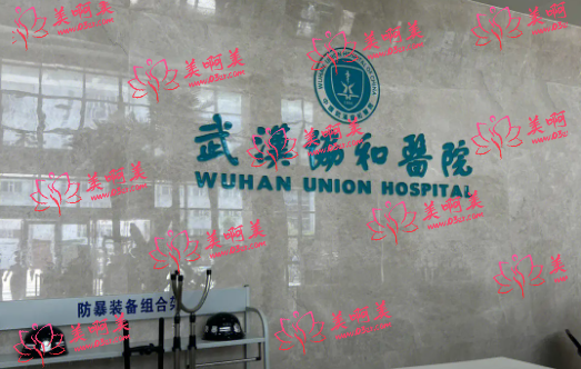2023武汉玻尿酸隆鼻医院高口碑排名榜出炉！公私立医院都有，看看有哪些吧！