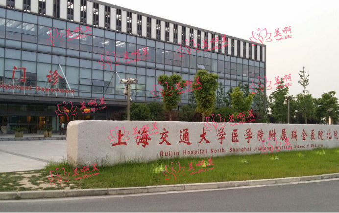 上海哪家整形医院技术好?医院口碑大揭秘！