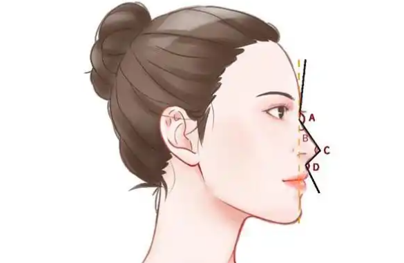 濡白天使隆鼻的作用与功效齐全解析