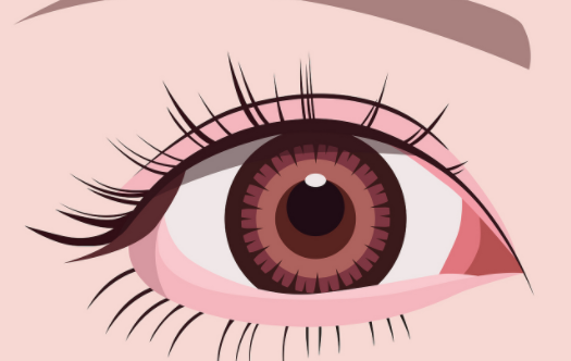 全切双眼皮多久能恢复正常?一文详解恢复周期