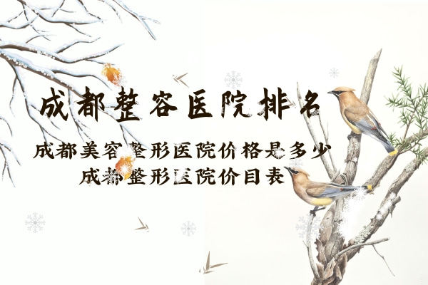 2023成都十大整容医院排名,成都美容整形医院价格是多少？价目表分享