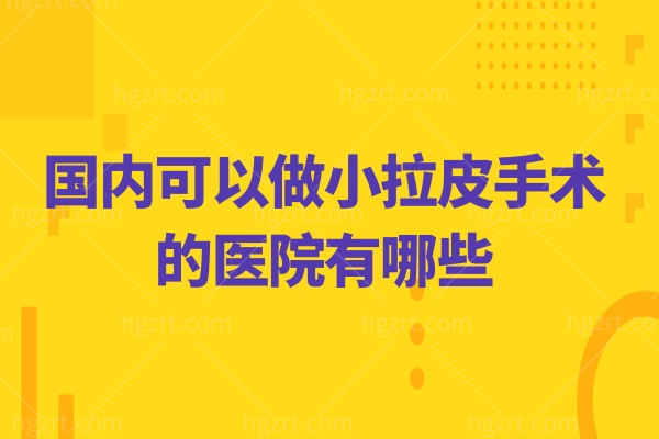 国内可以做小拉皮手术的医院有哪些,公私立都有可以参考